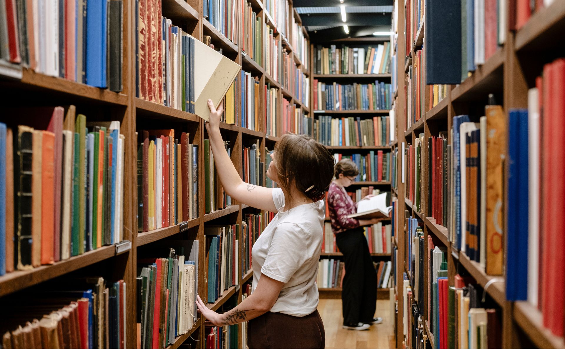 Image 5 Library fund 2025 1